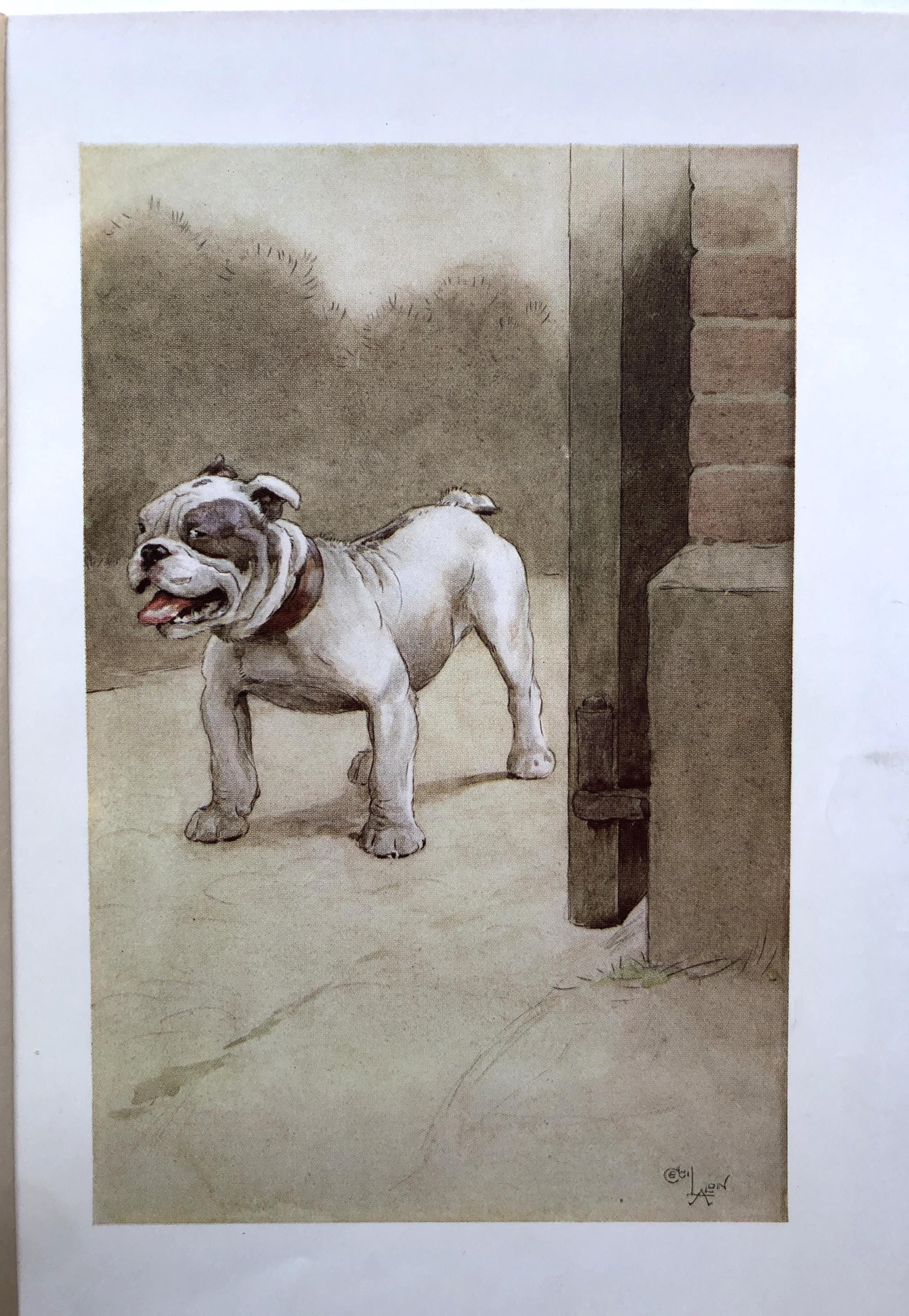 BULLDOG Antique 1913 Cecil Aldin Dog Plate Print Christmas Gift