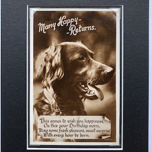 1930年代のヴィンテージ ラブラドール レトリバー 犬のポストカード W.B.L アカデミー シリーズ ロンドン リアル写真 ギフト No.4486 クリスマス 誕生日