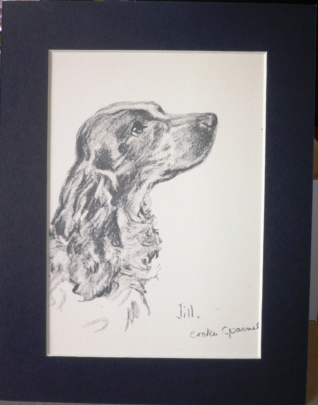 COCKER SPANIEL DOG Vintage Mounted 1939 Lucy Dawson Jill Spaniel Dog ...