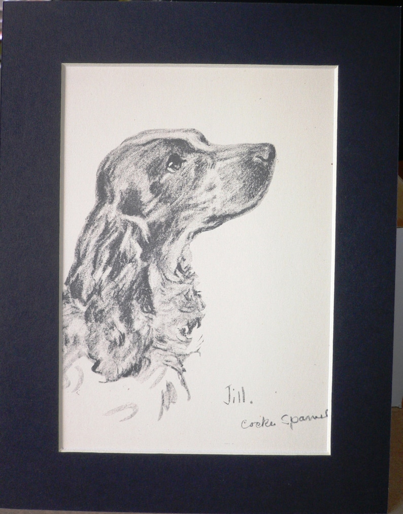 COCKER SPANIEL DOG Vintage Mounted 1939 Lucy Dawson Jill Spaniel Dog ...
