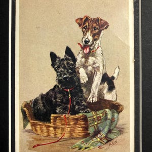 MABEL GEAR SCOTTIE, chien à poil dur, terrier écossais des années 1930, série n° 3825 de la Saint-Valentin, monté sur carte postale, cadeau de Noël, anniversaire, objet de collection