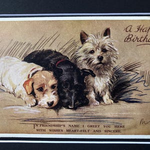 Photo de carte postale vintage Lucy Dawson Mac de la Saint-Valentin, Sealyham Scottish CAIRN Terrier Noël joyeux anniversaire Thanksgiving no 1992