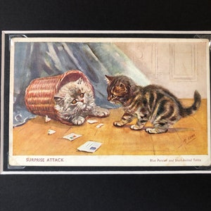 MABEL GEAR Gatto gattino cartolina n. 5071 tempo di gioco Vintage firmato Salmon Ltd cartolina montata Persiano blu a pelo corto tabby regalo di Natale
