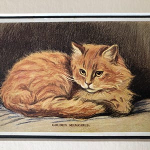 Cartolina con GATTO di SAN VALENTINO Cartolina vintage di Lucy Dawson Mac n. 2703 Natale Compleanno Ringraziamento Oggetto da collezione, raro ritrovamento per gli amanti dei gatti