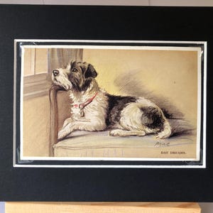 Wire haired terrier VALENTINE TAILWAGGER Vintage Lucy Dawson Mac postcard Patrick Terrier dog Thinking of you Birthday No.2440