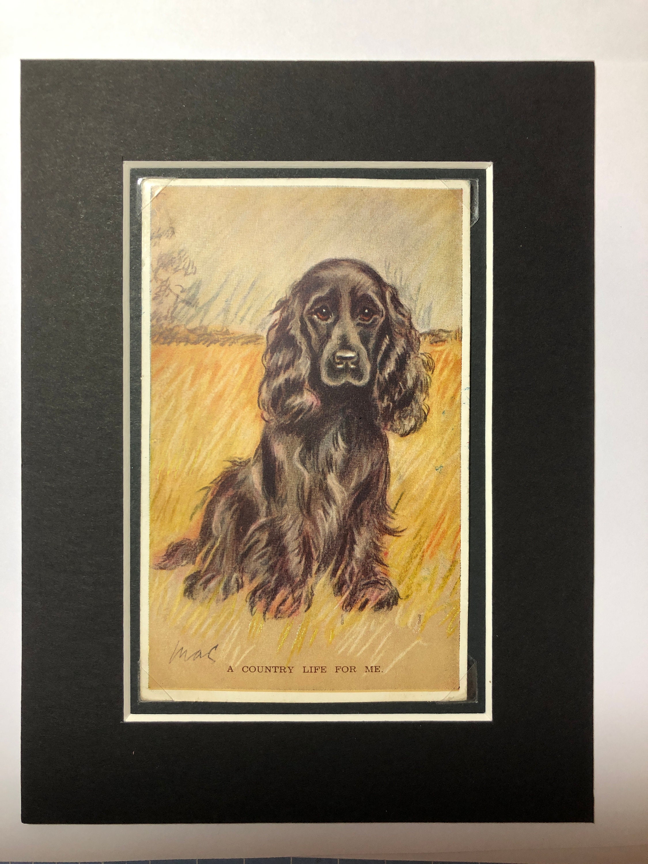 1930 Cocker Spaniel VALENTINE TAILWAGGER Vintage Lucy Dawson Mac No ...