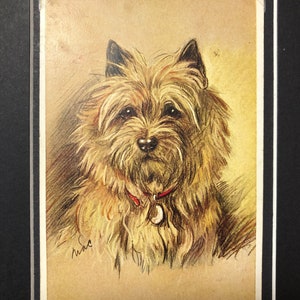 VALENTINE TAILWAGGER vintage Lucy Dawson Mac carte postale photo CAIRN Terrier Unique Noël Anniversaire Thanksgiving cadeau No.1037