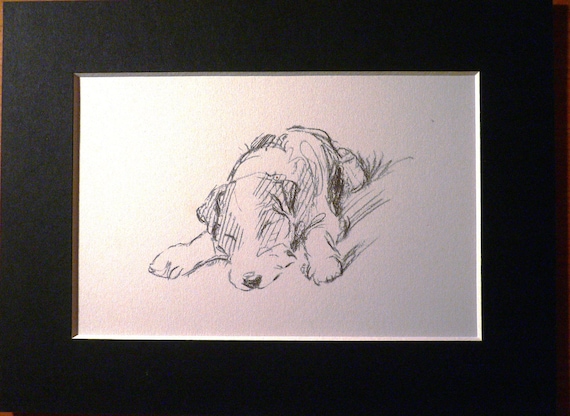 DALMATIAN TWO SITTING DOGS LUCY DAWSON DOG ART PRINT READY MOUNTED