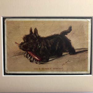 Années 30, Terrier écossais LUCY DAWSON MAC Scottie chien vintage Saint Valentin série Tailwagger photo montée No.3802 Noël anniversaire