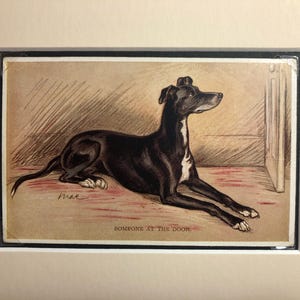 VALENTINE TAILWAGGER Greyhound WHIPPET Vintage Lucy Dawson Mac cartolina immagine regalo unico di Natale compleanno Ringraziamento n. 3089