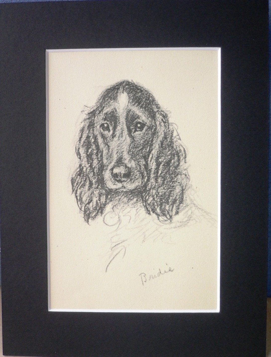 Vintage 1946 Lucy Dawson Spaniel Dog Print, Matted - Etsy UK