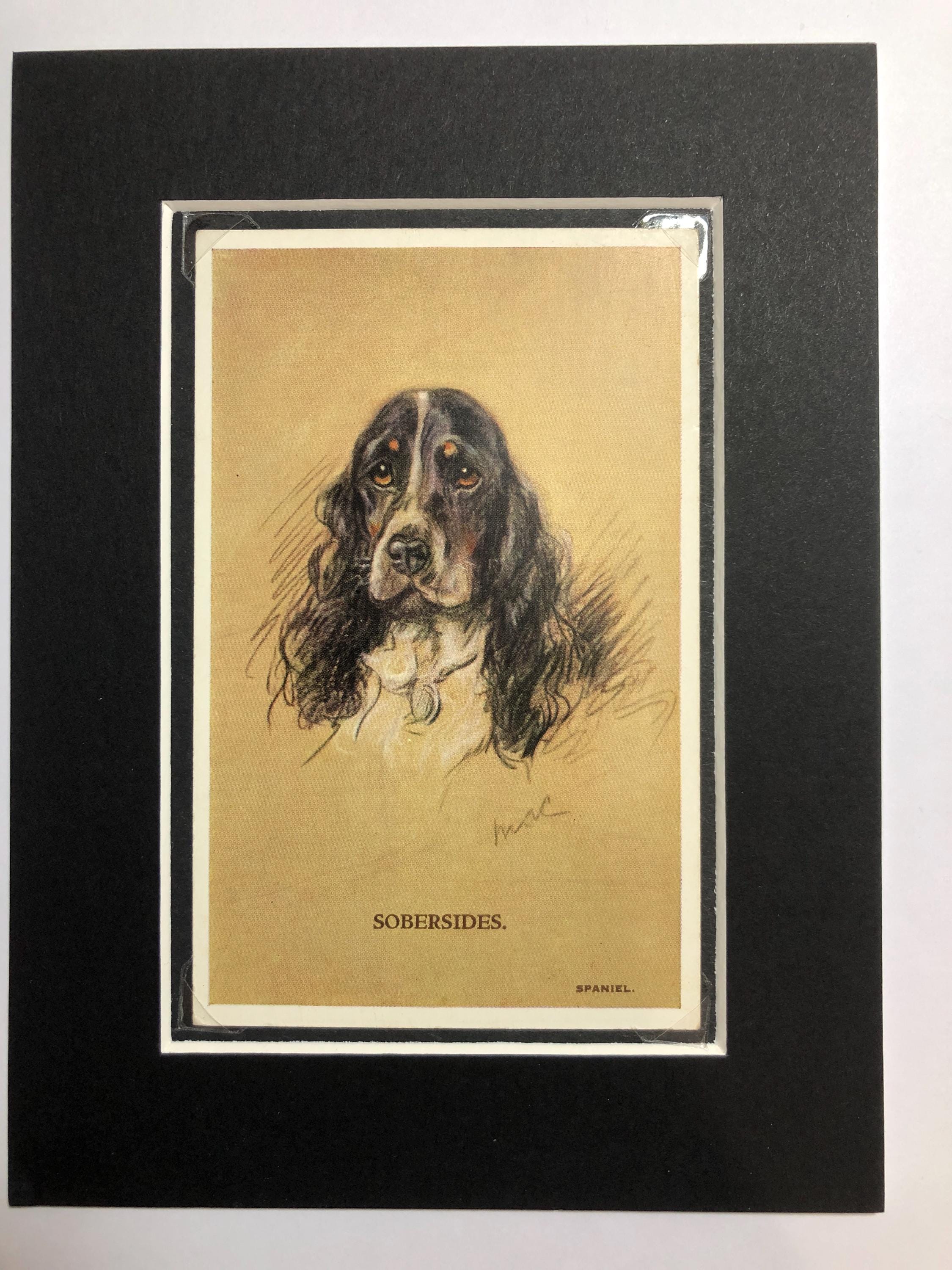 1930 Cocker Spaniel VALENTINE TAILWAGGER Vintage Lucy Dawson Mac No ...