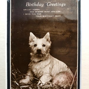 Tarjeta postal montada con un perro westie terrier vintage de los años 30 Saludos de cumpleaños con verso Artículo coleccionable Usado en octubre de 1929 Tarjeta de San Valentín