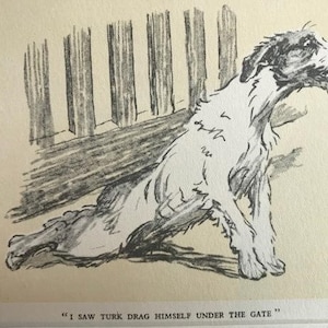 TERRIER DOG Signed mounted 1928 Cecil Aldin stray dog plate print Christmas gift Thanksgiving present Unique present dog gift