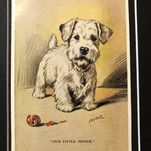VALENTINE TAILWAGGER Cartão postal vintage Lucy Dawson Mac nº 2659 SEALYHAM Terrier pequeno nipper presente de Natal, aniversário e Ação de Graças