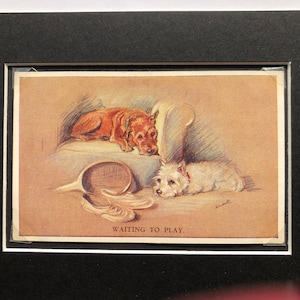 Westie Irish terrier VALENTINE TAILWAGGER Vintage Lucy Dawson Mac cartão postal West Highland Terrier cachorro esperando para brincar de aniversário No.1106