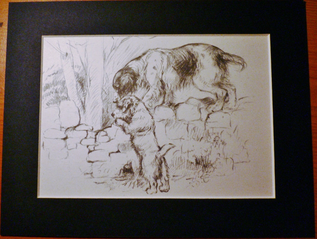 Springer SPANIEL SEALYHAM Terrier Vintage Mounted K F Barker 1933 Dog ...