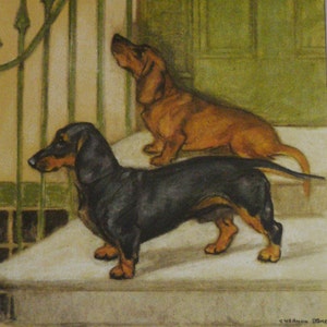 1947 DACHSHUND dog Vintage podpisany oryginalny wydruk ekslibrisu Vernon Stokes z zamontowanym psem Niepowtarzalny prezent na Boże Narodzenie, Święto Dziękczynienia, urodziny