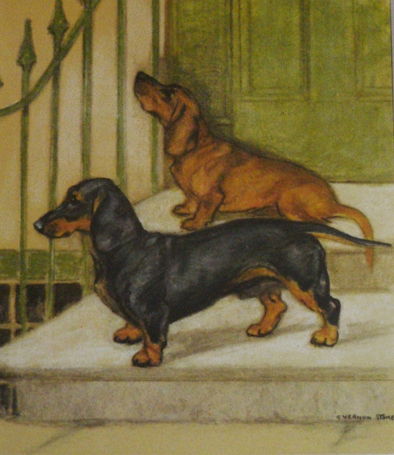 1947 DACHSHUND Dog Vintage Signed Original Vernon Stokes Mounted