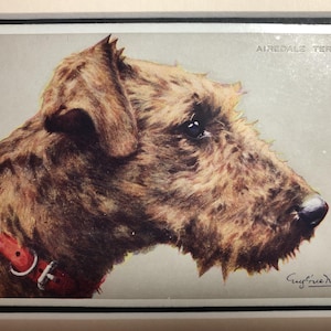 EUGENIE M VALTER Perro Airedale terrier Postal vintage firmada por Valentine & Sons Ltd No.2267 Objeto de colección, regalo de cumpleaños