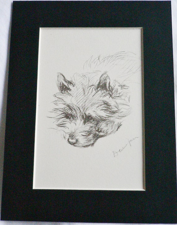 CUTE CAIRN TERRIER CHARMING DOG LUCY DAWSON DOG ART SKETCH PRINT READY MOUNTED