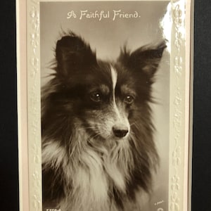 Postal vintage de perro pastor collie de los años 30 montada Postal con fotografía real Regalo Saludos felices Cumpleaños Un amigo fiel Regalo coleccionable