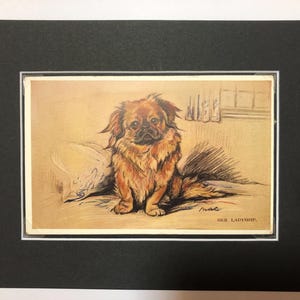 PEKINGESE Dog 1930s LUCY DAWSON Mac Pekinese Vintage Valentines Tailwagger series post card mounted picture gift No.2989 Collector's item