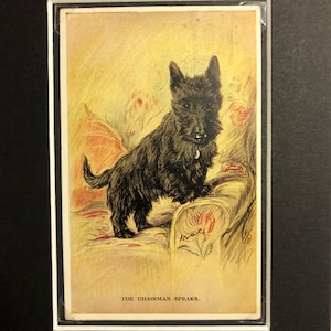 Années 30, Terrier écossais LUCY DAWSON MAC Scottie chien vintage Saint Valentin série Tailwagger montée photo no 2754 Anniversaire de Noël