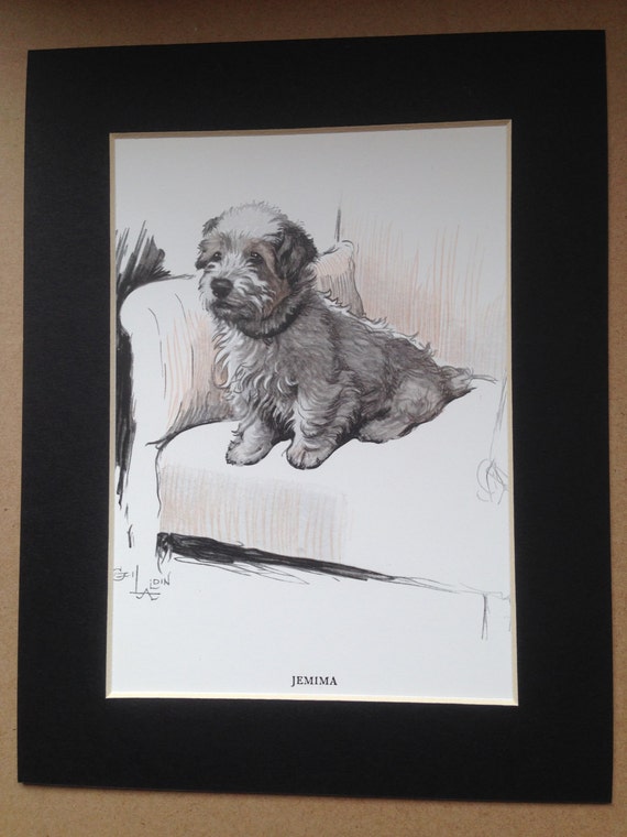 English Picture Print Sealyham Terrier Puppy Dog Art