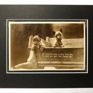 1930s  Vintage Valentines Tailwagger Real Photograph terrier dog postcard mounted picture gift No.5738 Christmas Birthday