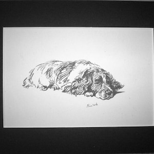 Springer spaniel dog Vintage Mounted 1936 &#39;Mac&#39; Lucy Dawson Nimrod dog bookplate print Unique gift Christmas, Birthday, Thanksgiving present