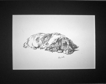 Springer spaniel dog Vintage Mounted 1936 'Mac' Lucy Dawson Nimrod dog bookplate print Unique gift Christmas, Birthday, Thanksgiving present