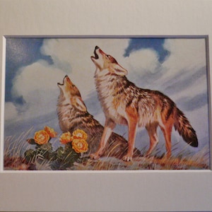COYOTE DOGS Vintage Mounted 1958 Walter A Weber dog plate print Unique Christmas BirthdayThanksgiving Father&#39;s Day gift dog lover present