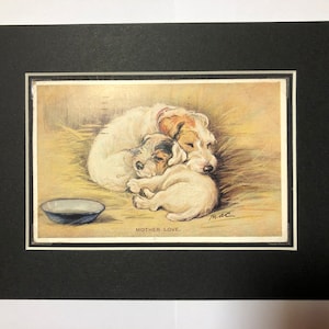 Photo de carte postale vintage Lucy Dawson Mac de la Saint-Valentin, chiot Fox Terrier, mère amour Noël anniversaire Action de grâces No.2480