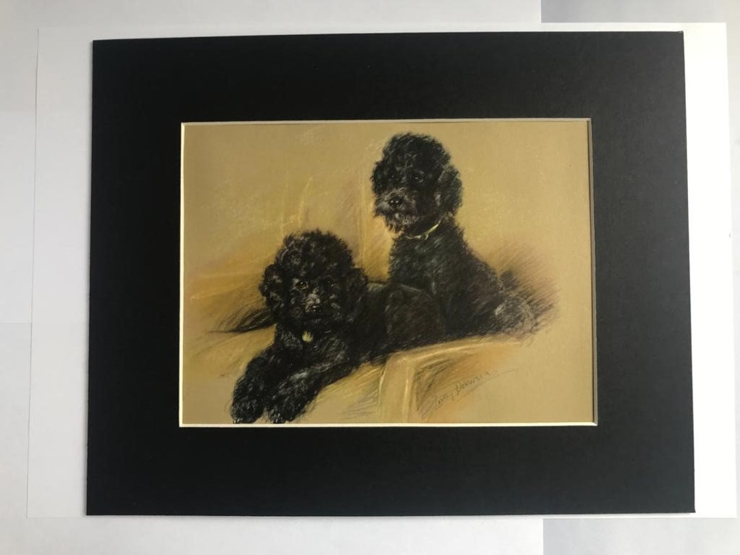 Vintage 1946 Lucy Dawson Black Poodle Print, Matted Dog Art - Etsy