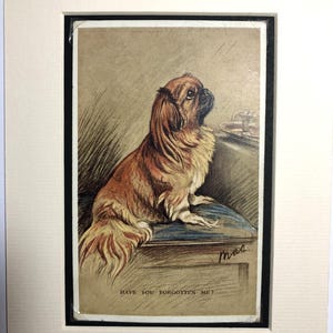 1930s LUCY DAWSON MAC Pekingese dog Pekinese Vintage Valentines Tailwagger series postcard mounted gift No.2164 Birthday Collector's item