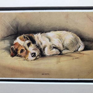 Postal vintage de Lucy Dawson Mac n.° 2993 con el terrier SEALYHAM, regalo de cumpleaños, artículo de colección raro de Bunty