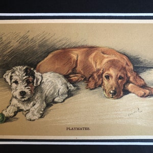 Carte postale vintage Lucy Dawson Mac de la Saint-Valentin, Sealyham Terrier et épagneul Unique Noël anniversaire Thanksgiving no 4606 collectionneurs