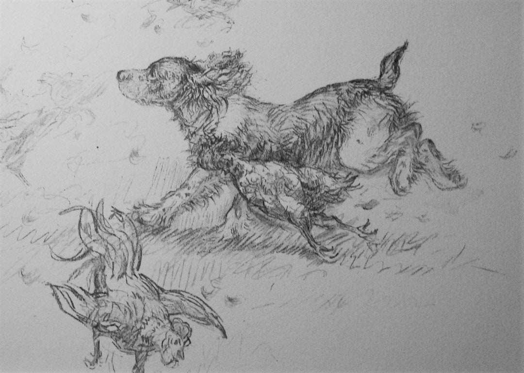 SPRINGER SPANIEL Dog Hen VINTAGE Mounted K F Barker 1938 Liver & White ...