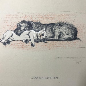 May include: A black and white illustration of a dog and a puppy sleeping on a couch. The dog is lying on its side with its head resting on the puppy's back. The puppy is curled up on its side with its head resting on the dog's side. The couch is a light brown color and has a textured surface. The image is titled "Gratification."