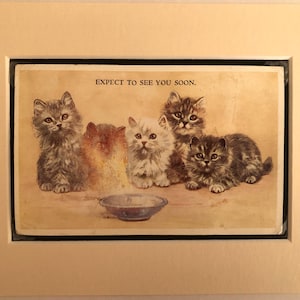 MABEL GEAR Serie gattini n. 5332 Cartolina d'epoca firmata montata regalo di Natale Compleanno Oggetto da collezione Ci aspettiamo di vederti presto