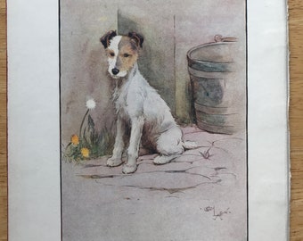 1912 FOX TERRIER Peter Signed  Cecil Aldin Fox Hunting dog plate print Christmas gift Thanksgiving present Unique Birthday