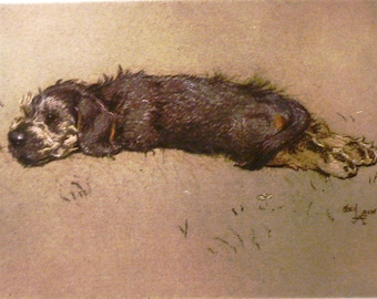ZWARTE BASTAARDRELAAR TERRIËR Hond Gesigneerd gemonteerd 1928 Cecil Aldin Cairn terriër hondenbord print kerstcadeau Thanksgiving cadeau Uniek cadeau
