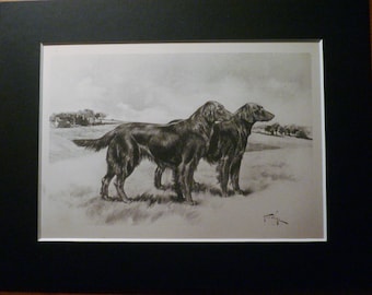 RETRIEVER Dog ANTIQUE signed mounted Dog Print illustration bookplate c1893 by Arthur Wardle Unique Christmas Thanksgiving gift present