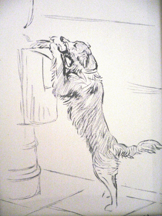 DALMATIAN TWO SITTING DOGS LUCY DAWSON DOG ART PRINT READY MOUNTED
