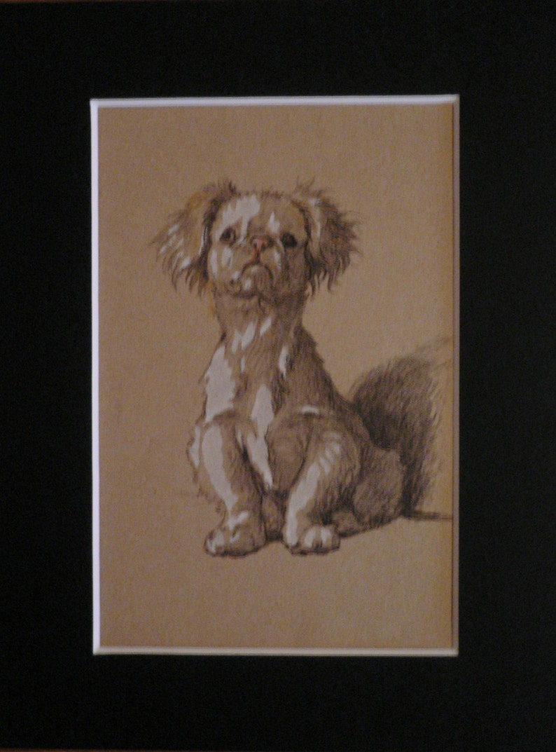 PEKINGESE AND CATS LOVELY LITTLE DOG PRINT MOUNTED READY TO FRAME