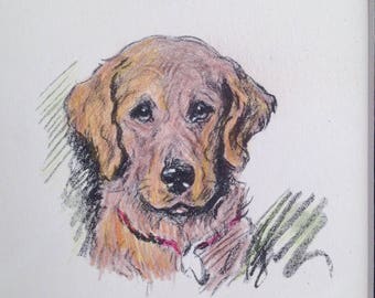 Retriever bird hunting dog Vintage Mounted 1936 /'Mac/' Lucy Dawson dog plate print Hand coloured Birthday Christmas Thanksgiving gift