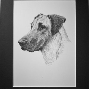 1935 Great Dane Vintage original C Francis Wardle mounted dog bookplate print Unique Christmas birthday Thanksgiving, Collector&#39;s item