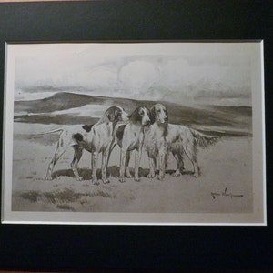Pode incluir: Uma ilustração vintage em preto e branco de três cães setter ingleses de pé num campo. Os cães estão a olhar para a esquerda da imagem. A ilustração está num quadro preto.