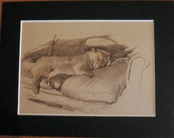 CHOW CHOW DOG Vintage mounted 1935 Cecil Aldin Chow chow puppy dog relaxing on sofa bookplate print Unique collectors vintage Xmas dog gift
